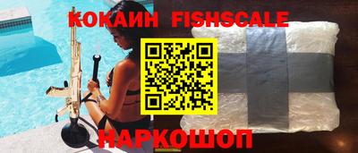 индика Дубна