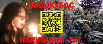 индика Дубна