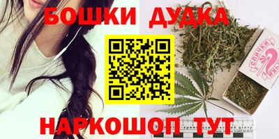 индика Дубна