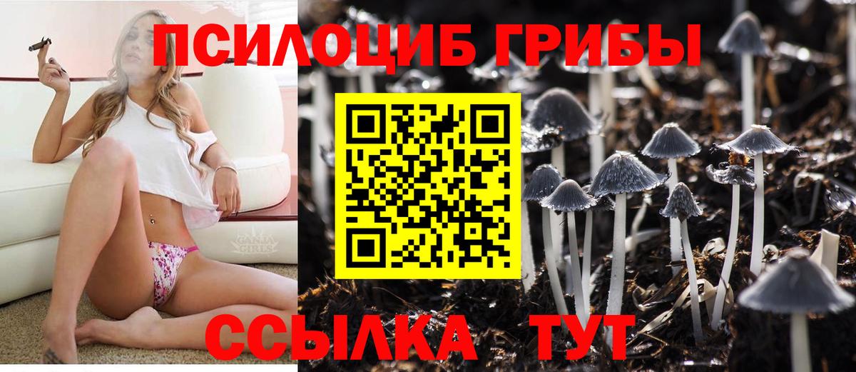 Галлюциногенные грибы Magic Shrooms  как найти наркотики  Назрань  Вход с VPN 